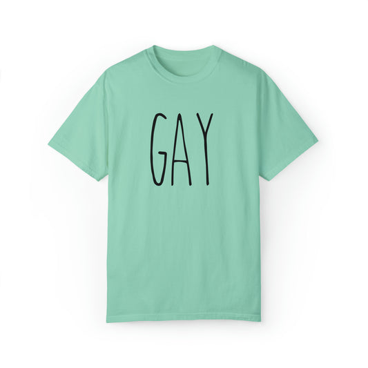 comfort colors Funny Rae Dunn inspired LGBTQ pride shirt, WLW MLM tee, retro graphic shirt, say gay tshirt, love is love, trans lives matter