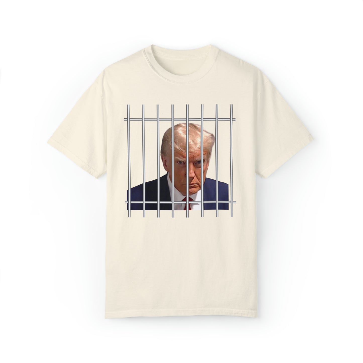 Comfort colors funny Donald Trump Mugshot jail Tshirt, meme shirt, dark humor tee, distressed graphic tee, political shirt, democrat, liberal