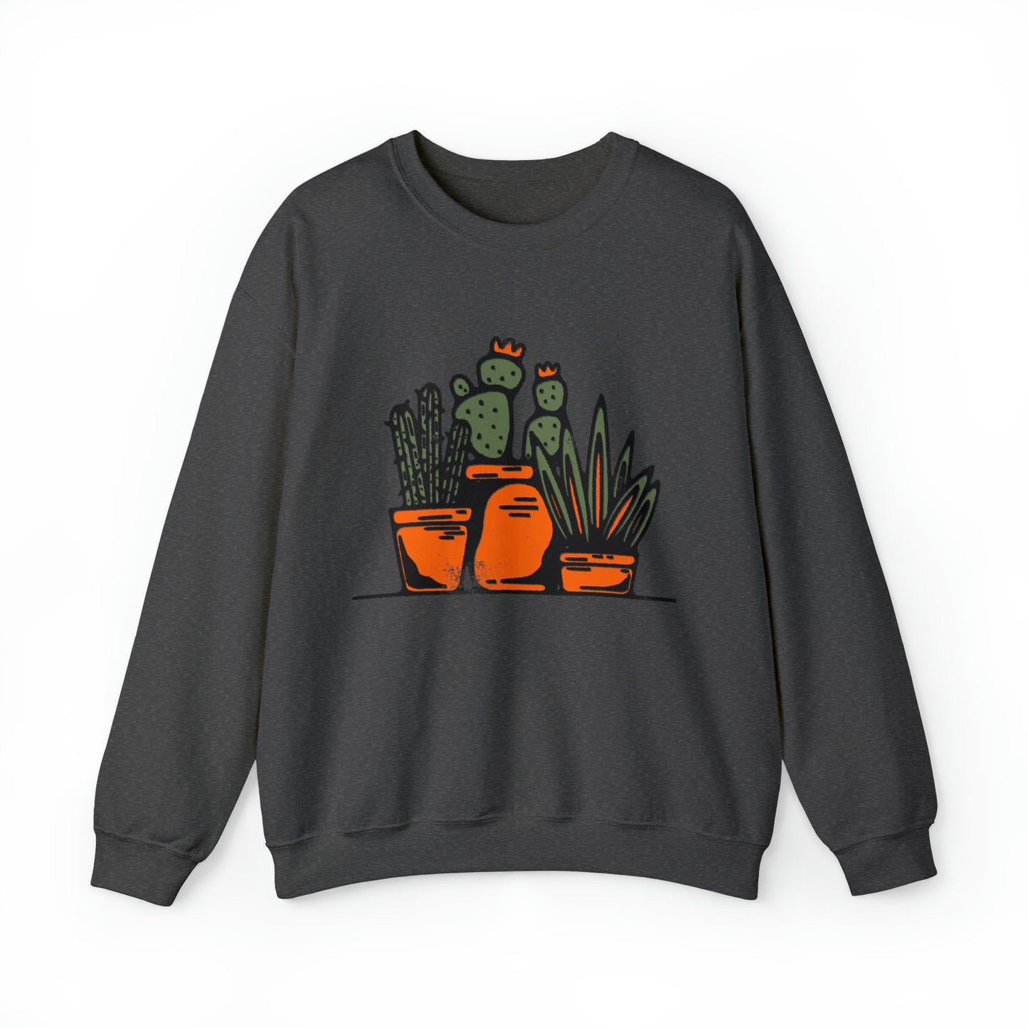 Cute retro cactus graphic sweatshirt, vintage inspired succulent sweater, botanical nature desert hoodie, southwest landscape, country shirt