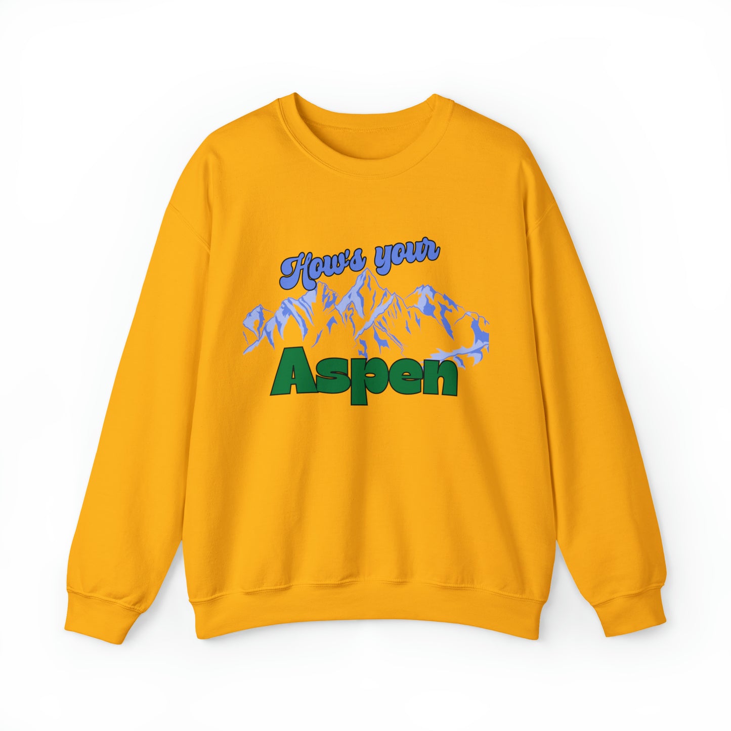 Funny Aspen sweatshirt, National Park sweater, Skiing Vintage Inspired hoodie, Unisex shirt, oversized