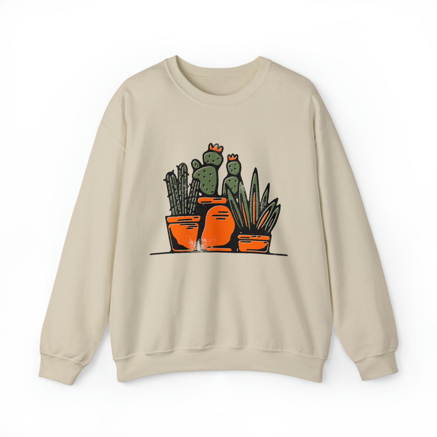 Cute retro cactus graphic sweatshirt, vintage inspired succulent sweater, botanical nature desert hoodie, southwest landscape, country shirt