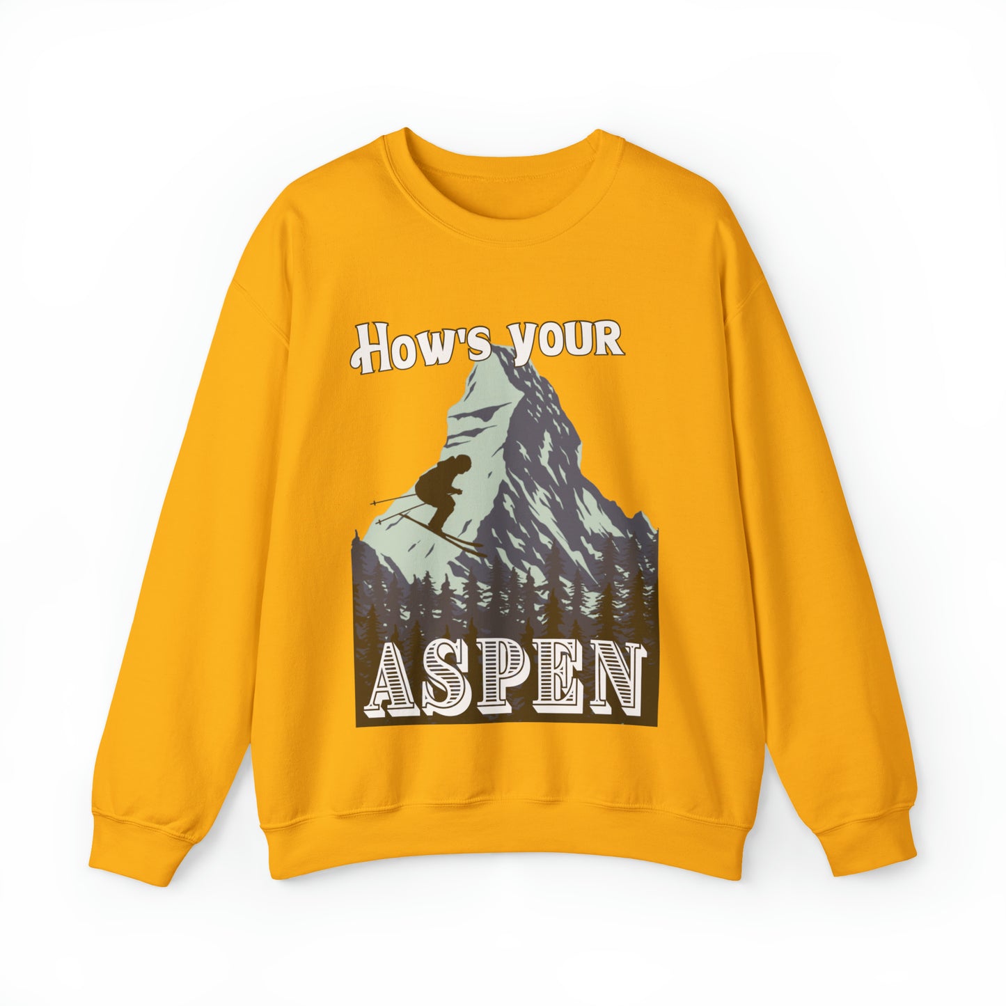 Funny Aspen sweatshirt, National Park sweater, Skiing Vintage Inspired hoodie, Unisex shirt, oversized