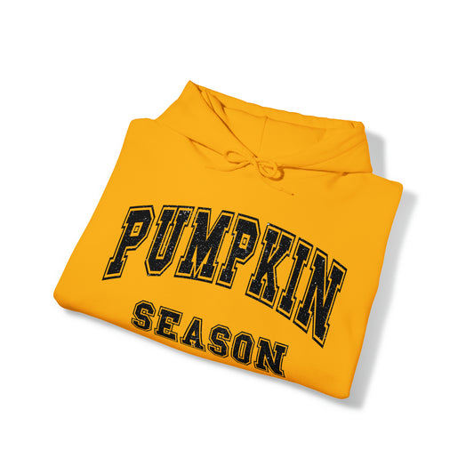 Minimalist pumpkin season halloween sweatshirt, witchy hoodie, haunted sweater, funny minimalist style, autumn sweats, love fall shirt