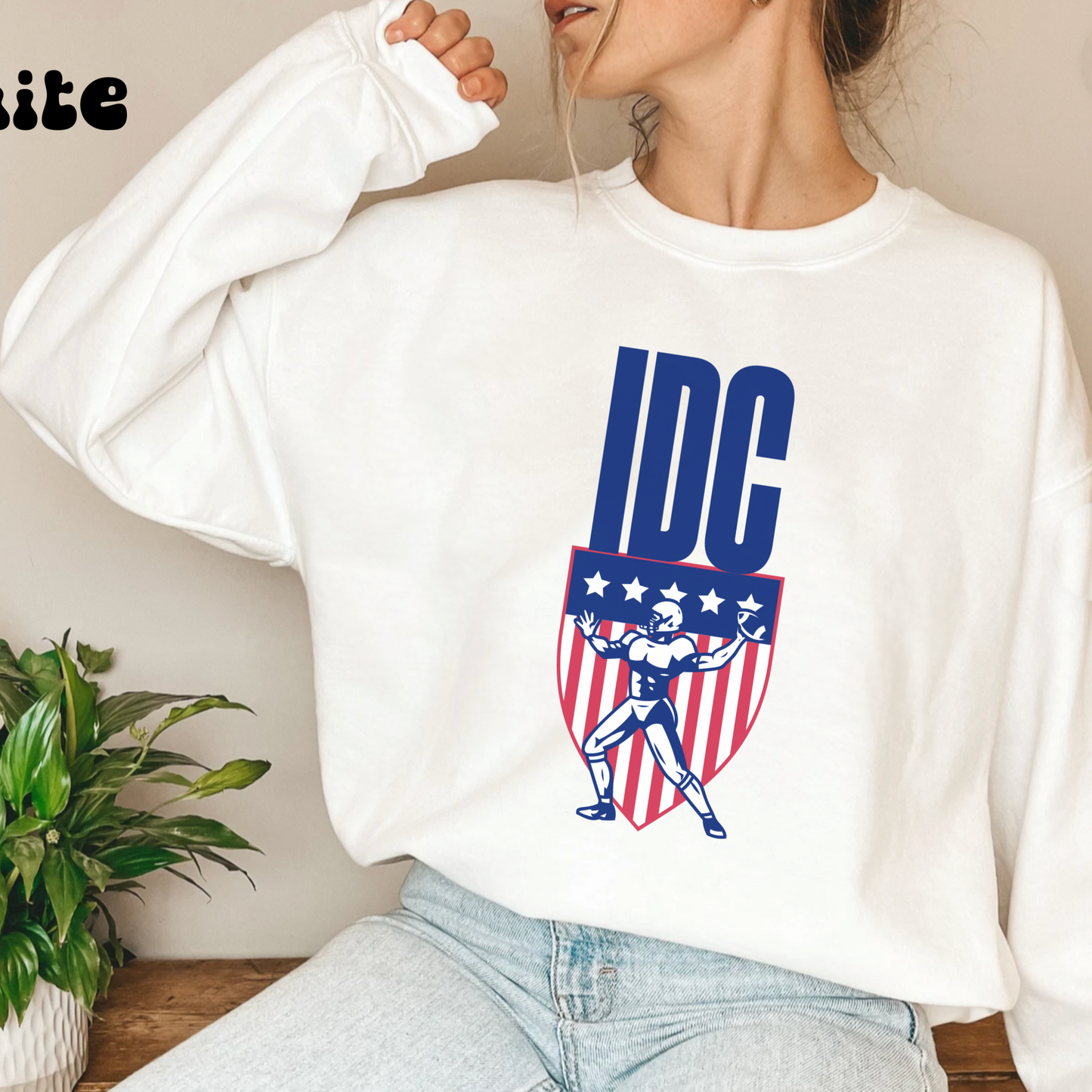 Funny IDC game day sweatshirt, i don't care football sweater, vintage go sports hoodie, humorous athletics outfit, retro american football