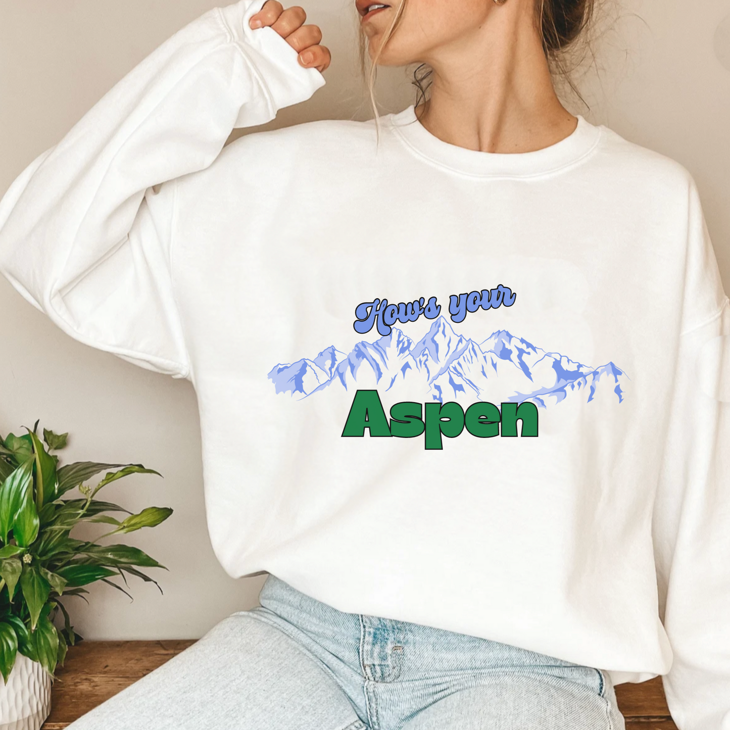 Funny Aspen sweatshirt, National Park sweater, Skiing Vintage Inspired hoodie, Unisex shirt, oversized