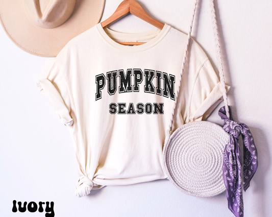 Comfort colors Minimalist pumpkin season halloween tee, witchy shirt, vintage retro fall lover tshirt, funny autumn seasonal outfit, trendy