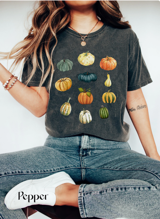 Comfort colors cute retro pumpkin patch tshirt, boho vintage gourd variety minimalist fall tee, autumn thanksgiving shirt, cottagecore style