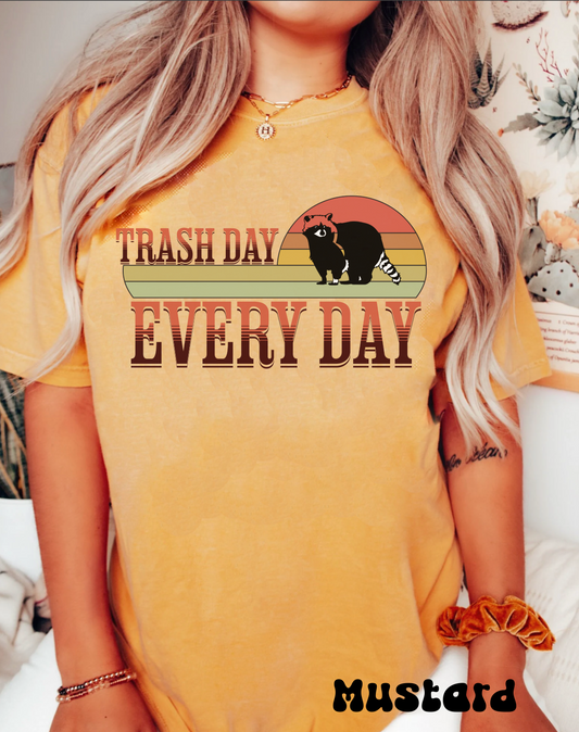 Comfort colors funny raccoon tshirt, retro trash day every day shirt, distressed graphic tee, vintage inspired meme shirt