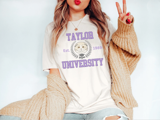 Comfort colors funny Taylor University tee, Eras concert Merch, Boho tshirt, minimalist cat lover shirt, 2023 tour merch