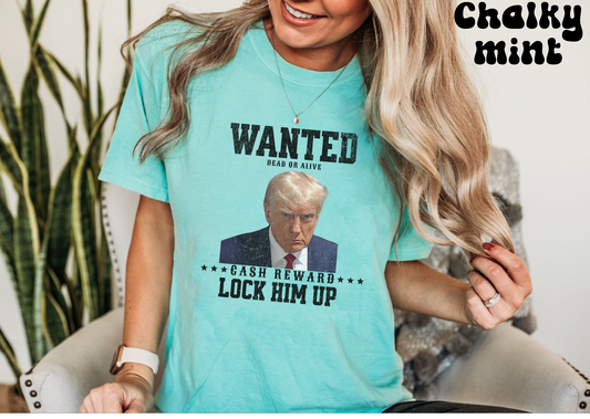 Comfort colors funny Donald Trump mugshot picture wanted poster tshirt, distressed graphic tee, vintage inspired wild west poster, democrat liberal political shirt